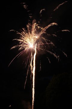 t_IMG_5376.jpg
